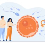 Procréation Médicalement Assistée (PMA) : Un Aperçu Complet